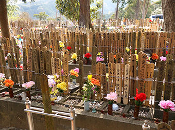 太江寺の供養個別埋葬